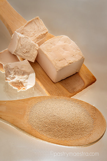 yeast-dry-and-fresh-Pastry-Maestra-chef-Tereza-Alabanda