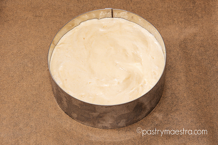 Sponge cake, Pastry Maestra