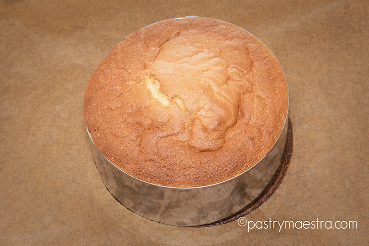 Sponge cake, Pastry Maestra