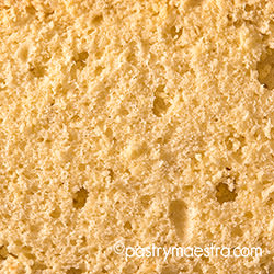 Sponge cake, Pastry Maestra