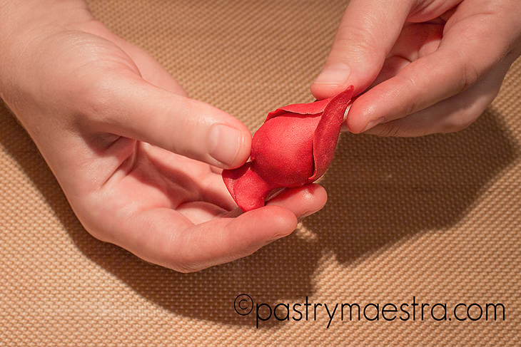 Fondant Rose Pastry Maestra