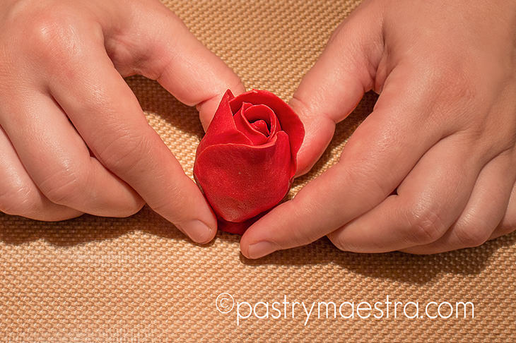Fondant Rose Pastry Maestra