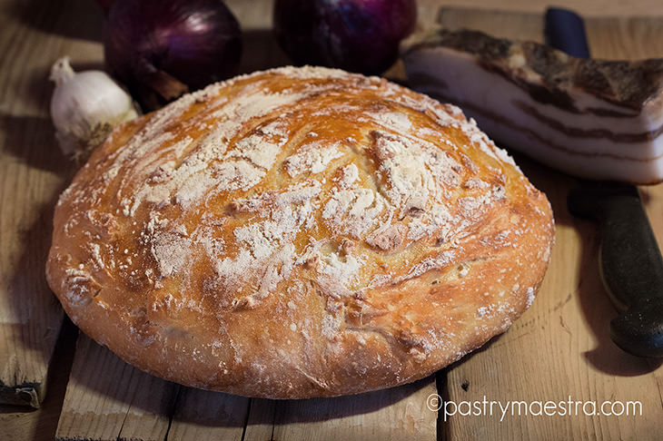 No Knead Dutch Oven Bread Pastry Maestra