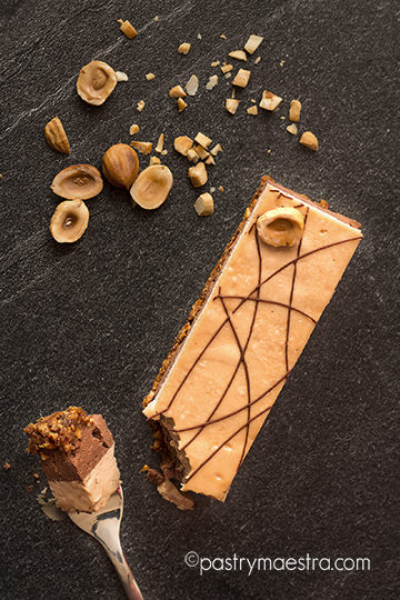 Chocolate and Hazelnut Bars, Pastry Maestra
