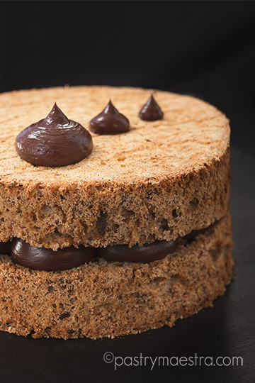 Dacquoise, Pastry Maestra