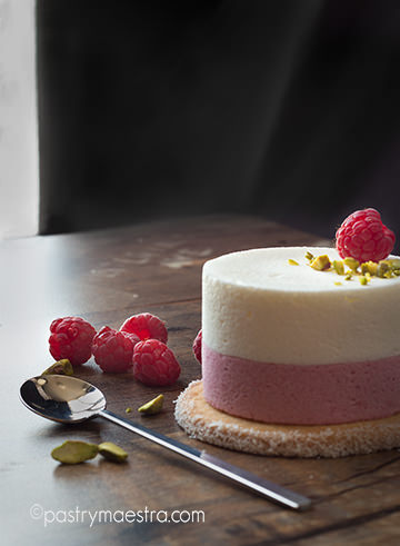 Greek Yogurt and Raspberry Semifreddo, Pastry Maestra