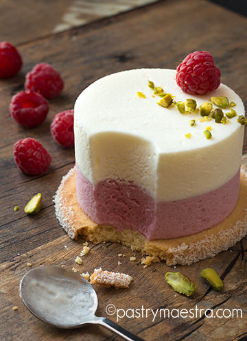 Greek Yogurt and Raspberry Semifreddo, Pastry Maestra