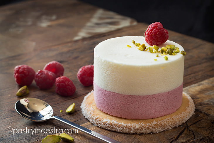 Greek Yogurt and Raspberry Semifreddo, Pastry Maestra