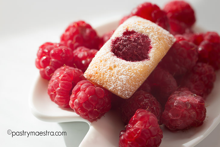 Financiers, Pastry Maestra