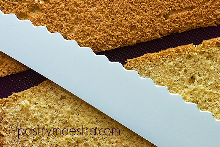 Sponge Cake, Pastry Maestra