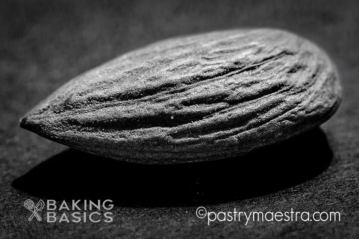 Almond cream, Pastry Maestra