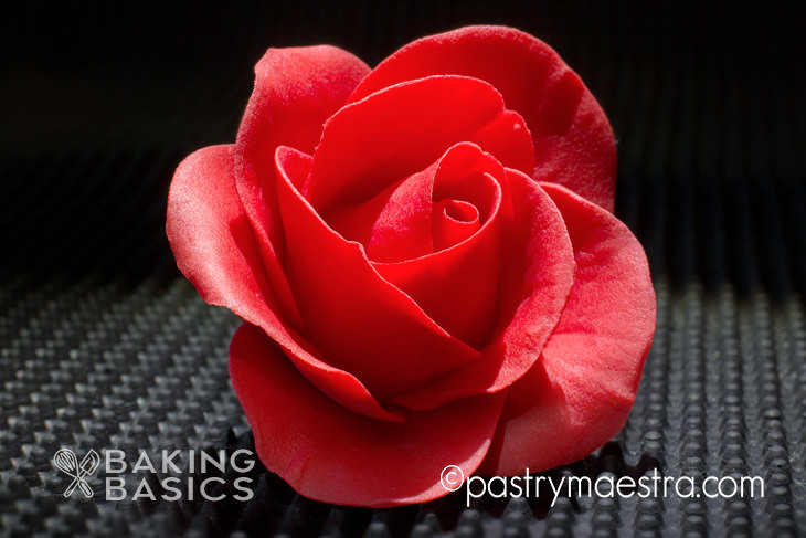 Fondant Rose, Pastry Maestra