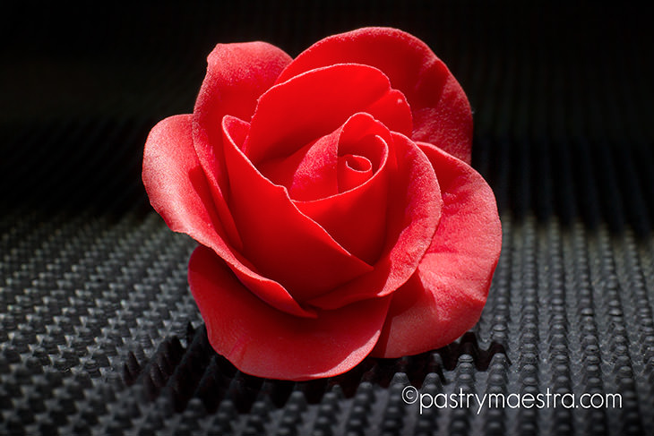 Fondant Rose, Pastry Maestra
