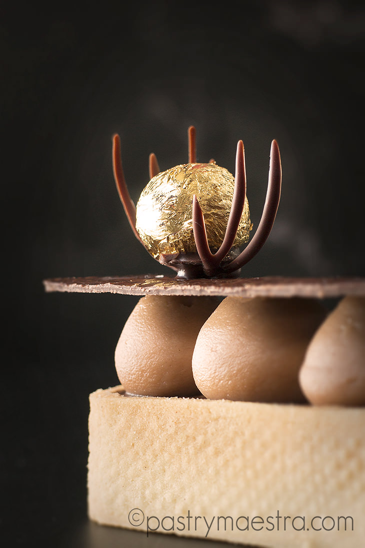 Irresistible Gourmet Chocolate and Hazelnut Tart, Pastry Maestra