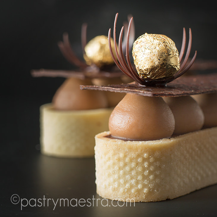Irresistible Gourmet Chocolate and Hazelnut Tart, Pastry Maestra