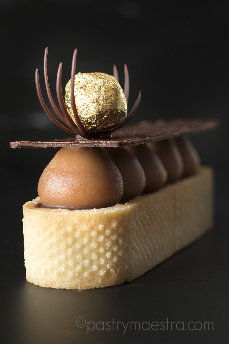 Irresistible Gourmet Chocolate and Hazelnut Tart, Pastry Maestra