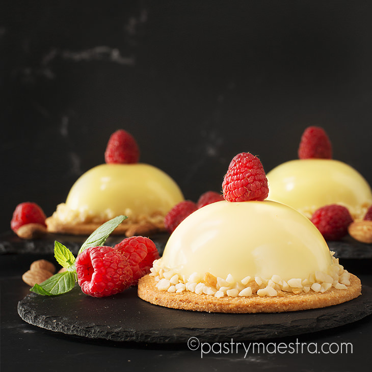 Raspberry and White Chocolate Half Spheres, Pastry Maestra